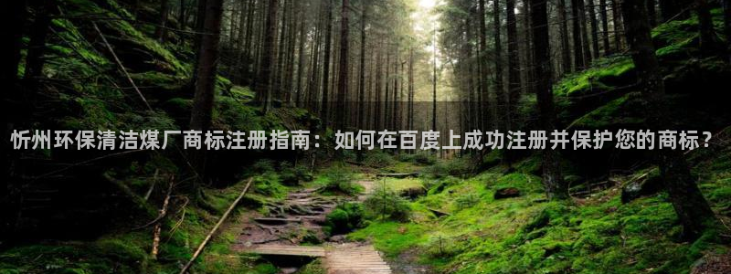 凯发app怎么下载视觉中国：忻州环保清洁煤厂商标注册指南：如何在百度上成功注册并保护您的商标？